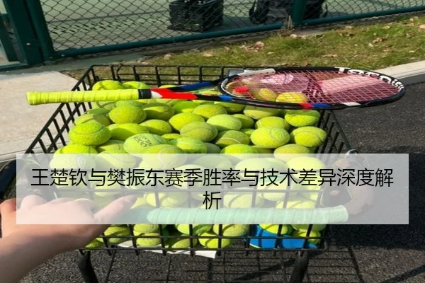 王楚钦与樊振东赛季胜率与技术差异深度解析